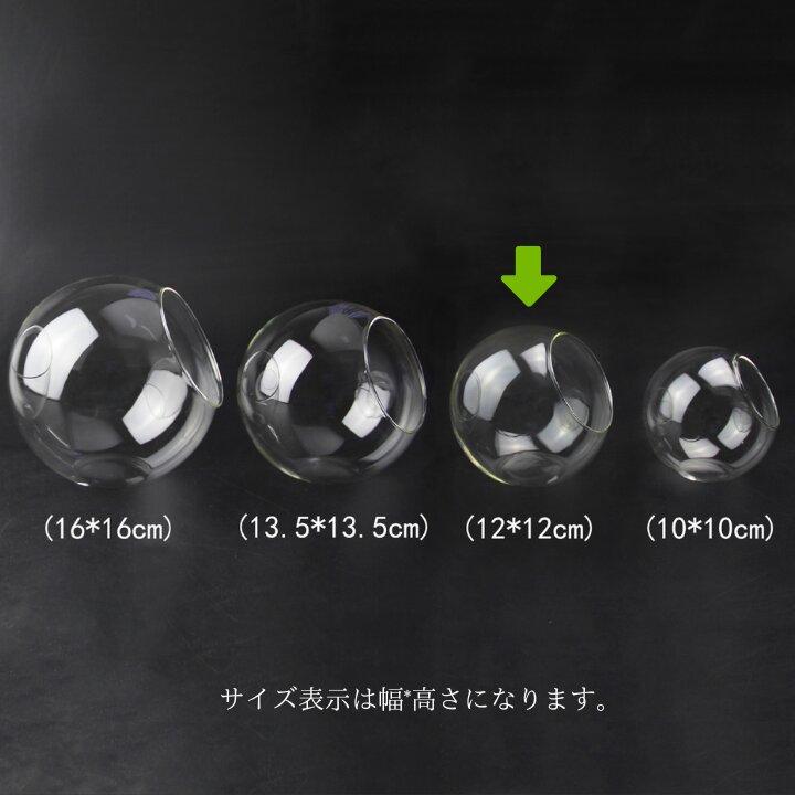 ガラス容器 斜め口 2サイズ ガラスボトル ガラスポット コケリウム容器