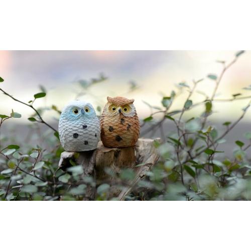 テラリウム フィギュア 毛短いふくろう フクロウ 動物フィギュア 店内全品対象 とり ミニフィギュア 苔テラリウム コケリウム