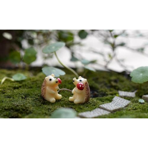 きのこ持ち はりねずみ模型 ハリネズミ 動物 コケリウム 箱庭 ミニチュア 動物 テラリウム 水槽 テラリウム ミニ アクアリウム スノードーム 苔盆栽 テラリウム Chenj テラリウム専門店takara 通販 Yahoo ショッピング