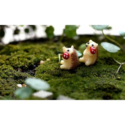 きのこ持ち はりねずみ模型 ハリネズミ 動物 コケリウム 箱庭 ミニチュア 動物 テラリウム 水槽 テラリウム ミニ アクアリウム スノードーム 苔盆栽 テラリウム Chenj テラリウム専門店takara 通販 Yahoo ショッピング