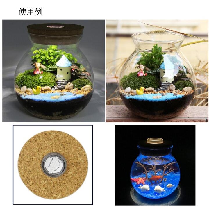 苔テラリウム 容器 LEDライト付き コルク蓋 ガラスボトル ガラス容器