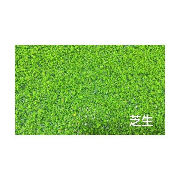 フェイク芝生 花畑 テラリウム造景 建築模型造景 ジオラマ ハンドメイド 鉄道造形 苔リウム テラリウム Chenj テラリウム専門店takara 通販 Yahoo ショッピング