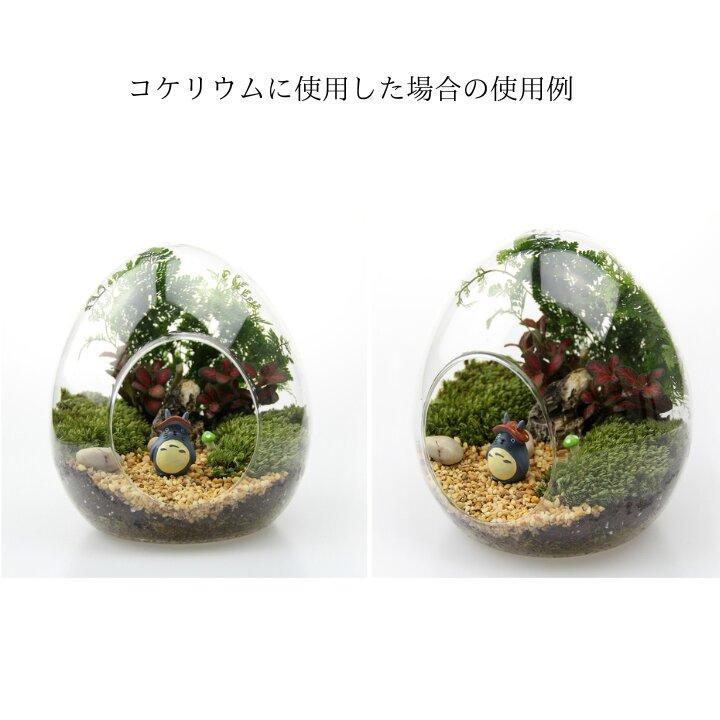 ガラス容器 卵型 3サイズ ガラスボトル ガラスポット コケリウム容器