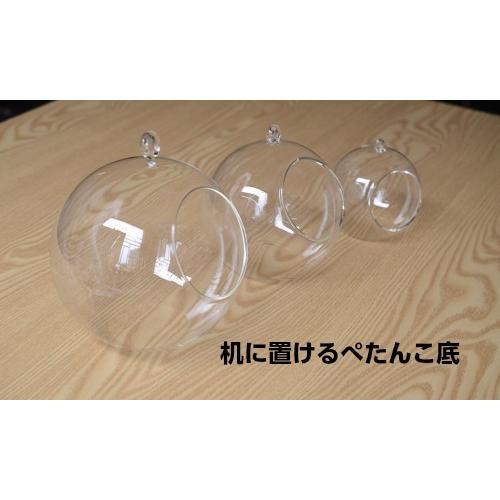 テラリウム吊り下げガラス容器 高さ16 0cm大 麻ひも付き テラリウムフィギュア テラリウム苔 ガラス容器 インテリアガラスポット Chenj テラリウム専門店takara 通販 Yahoo ショッピング