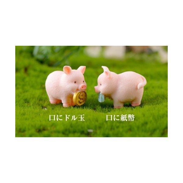 動物フィギュア 金塊 ぶた テラリウム フィギュア ミニチュア 豚