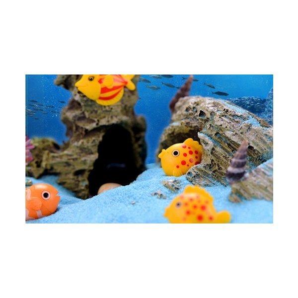 さかな種類 お買い得 匹 魚 タイプ色お任せ 動物 テラリウムフィギュア ミニチュア ミニフィギュア アクアリウム 魚 情景コレクション Chenj 1 テラリウム専門店takara 通販 Yahoo ショッピング