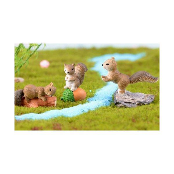 どんぐりりす リス テラリウムフィギュア ミニチュア ミニフィギュア イベント 箱庭 コケリウム Chenj テラリウム専門店takara 通販 Yahoo ショッピング