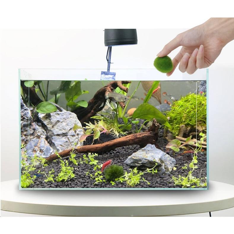 フェイク マリモ 小サイズ まりも アクアリウム 水槽 飾り 海 さかな テラリウム イベント 箱庭 コケリウム インテリア 箱庭 Gb2001 テラリウム専門店takara 通販 Yahoo ショッピング