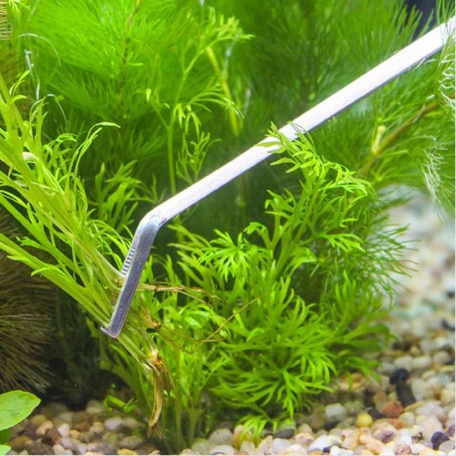 雑誌で紹介された ピンセット ハーバリウム 水槽 水草 ステンレス カーブ 37cm アクアリウム 掃除 熱帯魚 メダカ トリミング コケリウム テラリウム メンテナンス コケ 苔取り www.southriverlandscapes.com 雑誌で紹介された ピンセット ハーバリウム 水槽 水草 ステンレス カーブ 37cm アクアリウム 掃除 熱帯魚 メダカ トリミング コケリウム テラリウム メンテナンス コケ 苔取り www.southriverlandscapes.com