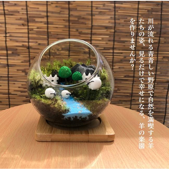 テラリウムキット 【羊の楽園】 コケリウム おしゃれ 贈り物 ガラス