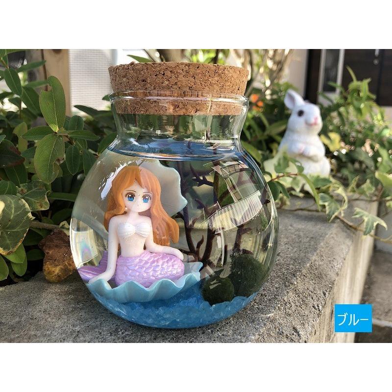 人魚とまりも アクアリウムキット 水草 インテリア 癒しグッズ 水槽セット おもしろ雑貨 Marimo マリモ ステイホーム お家時間 お誕生日 母の日 Kito テラリウム専門店takara 通販 Yahoo ショッピング