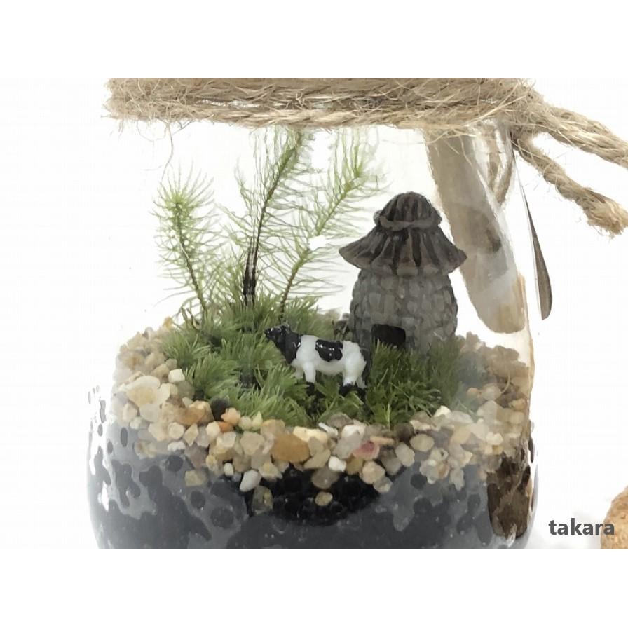 敬老の日 ミニミニ苔テラリウムキット 【長閑な村】ワークショップ 手作り キット 合わせて苔テラリウム お誕生日 プレゼント ホソバオキナゴケ 初心者 苔リウム｜takara77｜02