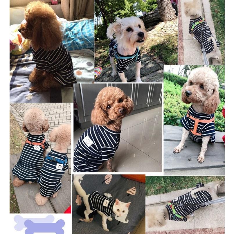 ドッグウェア 犬用 ボーダー シャツ ワンピース スカート お揃い ペアルック 可愛い おしゃれ 1 おたからばこ 通販 Yahoo ショッピング