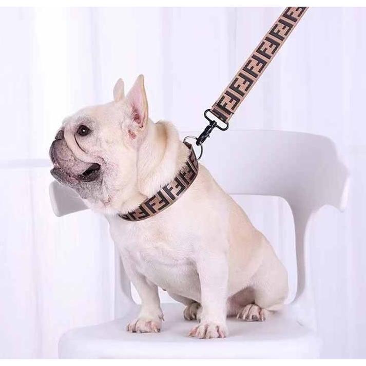 犬 首輪 おしゃれ リード付 ゴールド セレブ 簡単着脱 中型犬 小型犬 1 おたからばこ 通販 Yahoo ショッピング