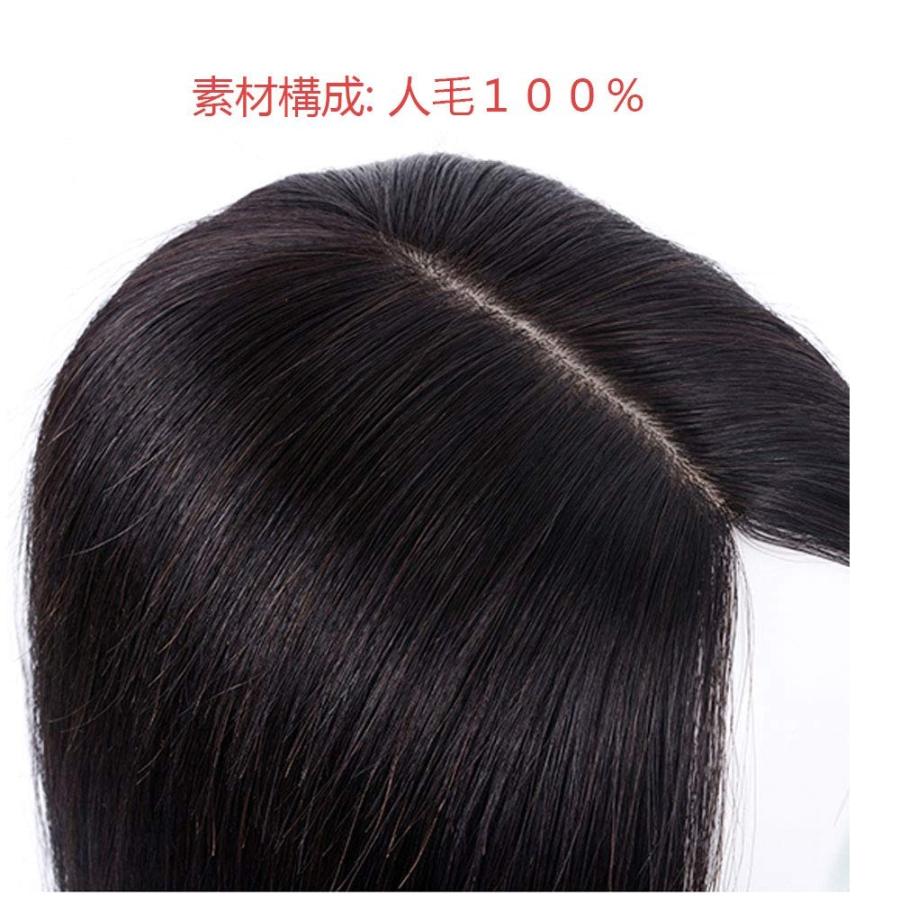 ウィッグ ヘアピース 部分かつら レディース 総手植え人毛100% 女性用 ブラック