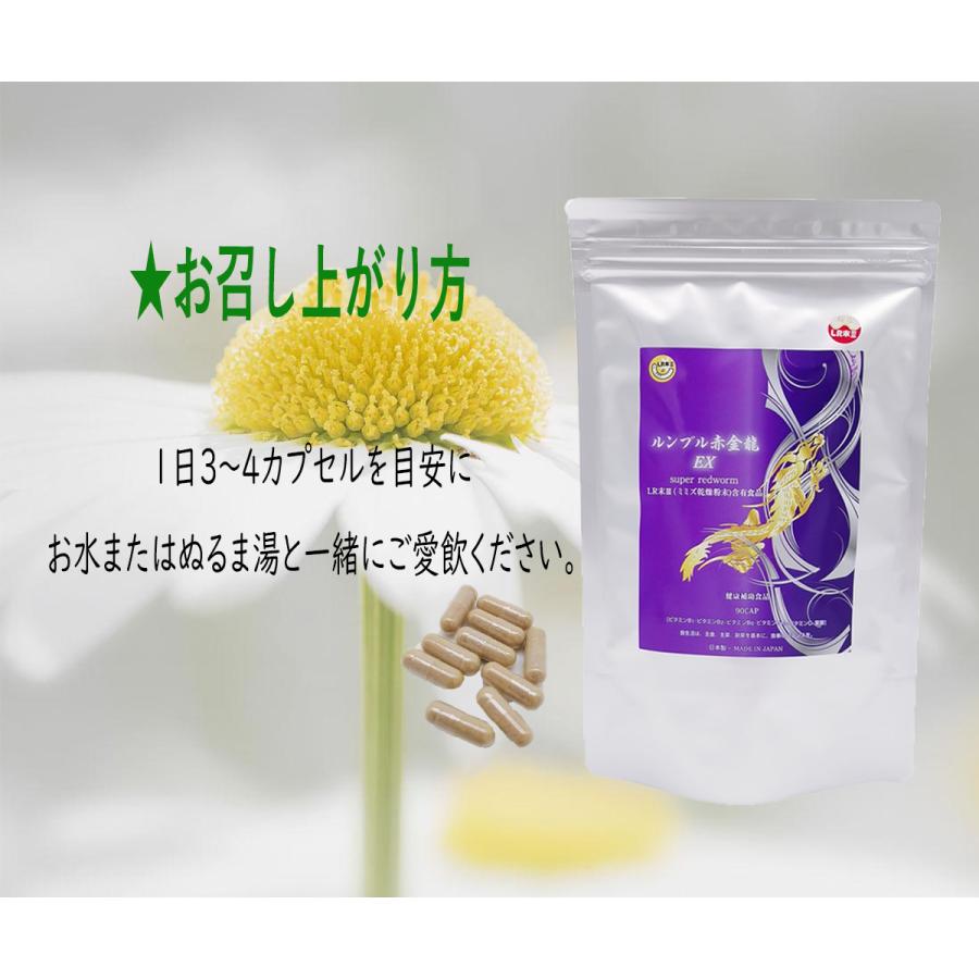 ミミズ酵素 赤ミミズ 乾燥層粉末 LR末III含有食品 90カプセル/2袋セット ルンブレン 血液サラサラ サプリメント 冷え性 疲労回復 ルンブル赤金龍　送料無料｜takarabako2japan｜09