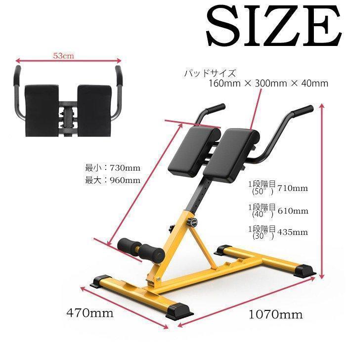 バックエクステンションベンチ Amazon.co.jp: バックエクステンションベンチ 多機能ローマン