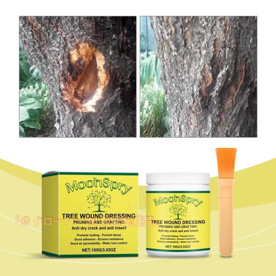 植物癒合剤植物治癒クリーム樹木切り口保護剤植物治癒ペースト盆栽癒合剤植物成長調整剤樹木剪定シーラー樹木修復剤クローバー樹木癒合剤切り口保護剤ブラシ付き の商品画像
