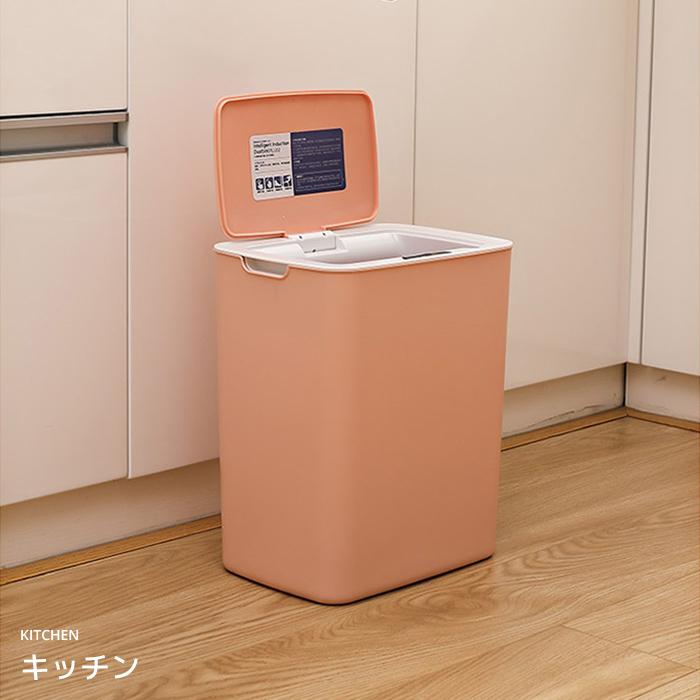 Sale 55 Off ゴミ箱 おしゃれ 自動開閉 電動ごみ箱 全自動ダストボックス スリム キッチン リビング トイレ 玄関 Usb充電式 安い オシャレ かわいい Aynaelda Com