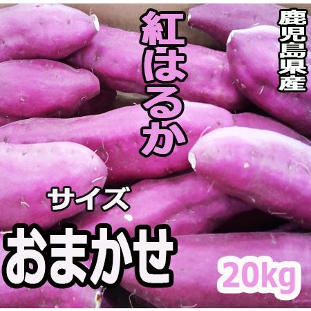 鹿児島県産さつまいも 紅はるか おまかせ20kg 2022/08月 :14