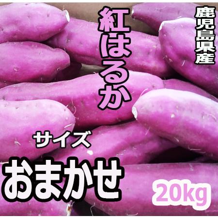 さつまいも 20キロ bracaraaugusta.com