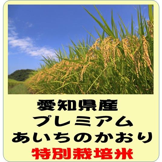 あいちのかおり 愛知県産 プレミアム 特別栽培米（減農薬・減化学肥料 