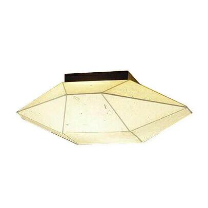 大光電機 DCL-40591Y 和風LEDシーリングライト LED交換可能 電球色 非