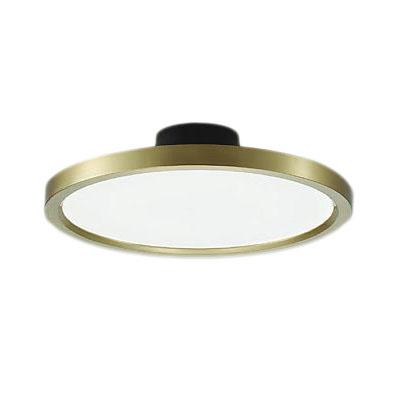 大光電機 DCL-41993 LEDシーリングライト 10〜12畳用 間接配光切替  