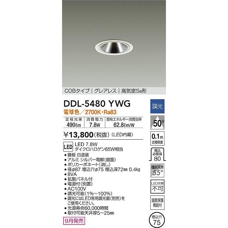 DAIKO DDL-5480YWG LEDランプ 3個セット DAIKO DDL-5480YWG LEDランプ 3個セット 大光電機