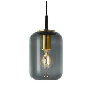 大光電機 大光 DPN-42451YG LEDペンダントライト プラグタイプ