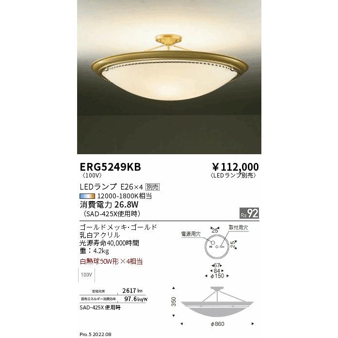 遠藤照明 ERG5249KB LEDシーリングライト 本体のみ ランプ別売(E26) 無線調光対応 要電気工事 施設照明の画像