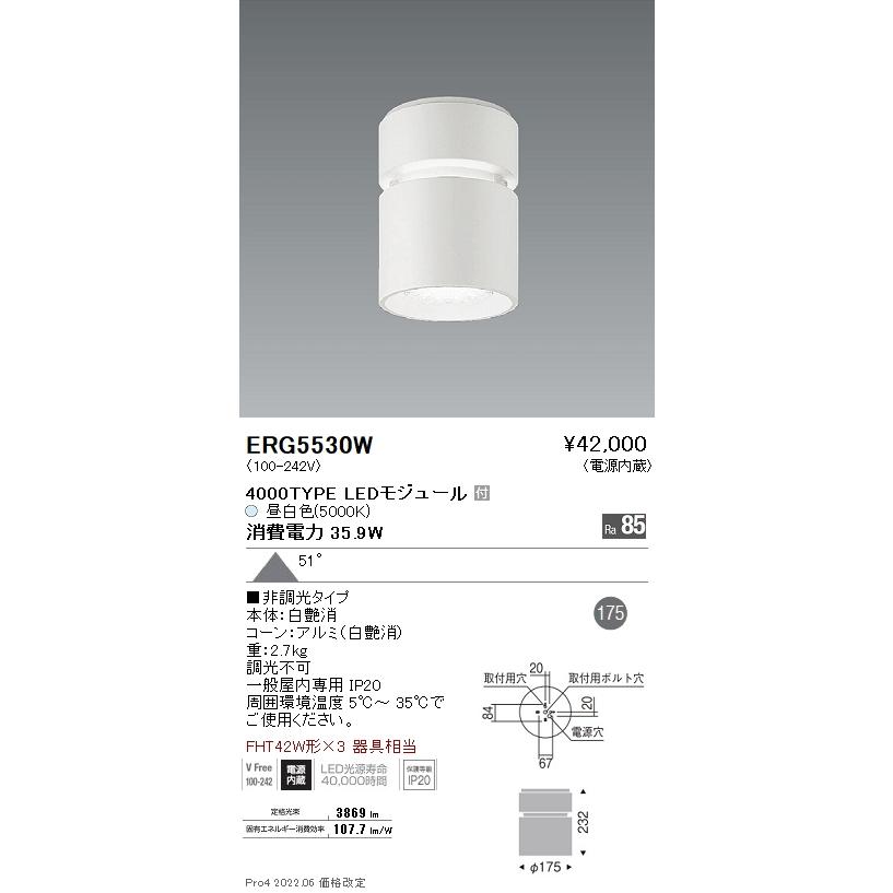 遠藤照明  施設照明 LEDシーリングダウンライト Rsシリーズ FHT42W×3器具相当 4000タイプ 51°超広角配光 昼白色 非調光 ERG5530Wの画像