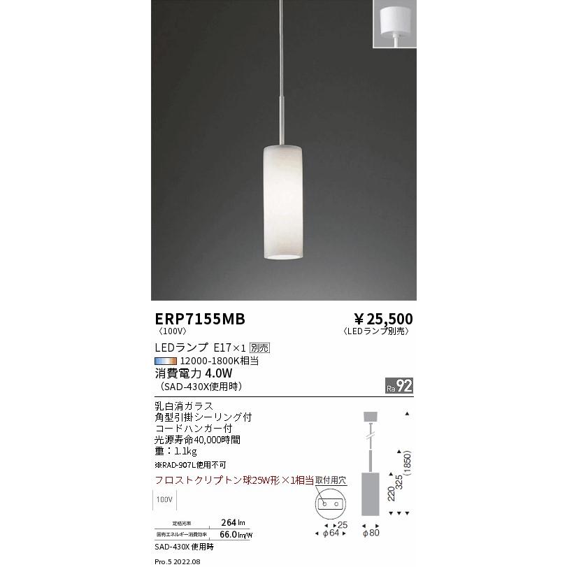 遠藤照明 ERP7155MB LEDZ LAMP ペンダントライト 本体のみ ランプ別売(E17) 無線調光対応 施設照明_1