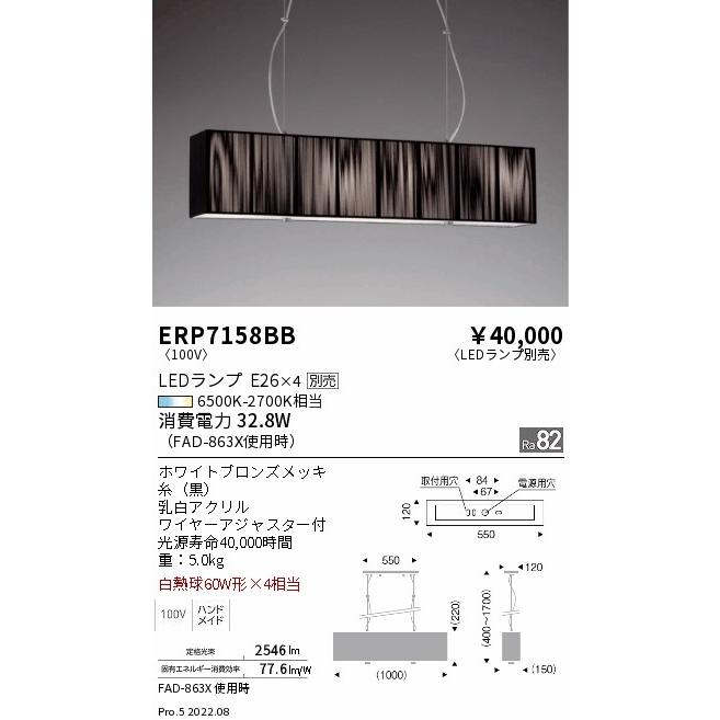 遠藤照明 ERP7158BB LEDZ LAMP ペンダントライト 本体のみ ランプ別売(E26) 無線調光対応 要電気工事 施設照明_1