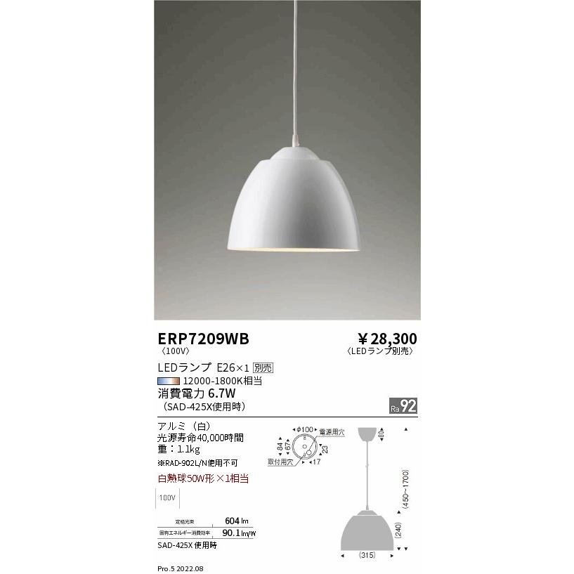 新作/公式 遠藤照明 ERP7209WB LEDZ LAMP ペンダントライト 本体のみ ランプ別売(E26) 無線調光対応 施設照明