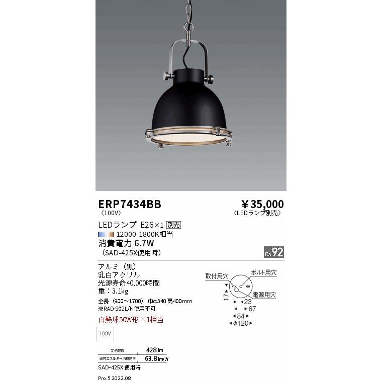 遠藤照明 ERP7434BB LEDZ LAMP ペンダントライト 本体のみ ランプ別売