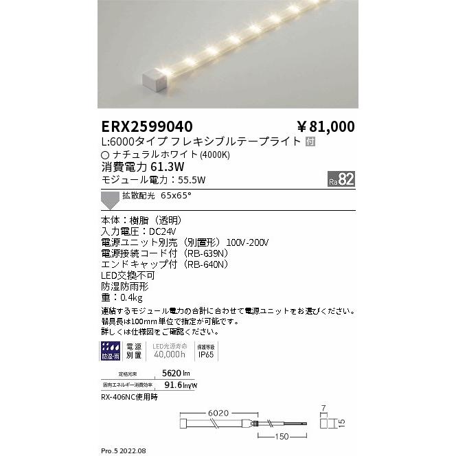 特価セール中 遠藤照明 ERX2599040 間接照明 LEDZ パワーフレキシブルライト(屋内外兼用) L6000タイプ 電源内蔵 65°×65° 拡散配光 ナチュラルホワイト 無線調光対応