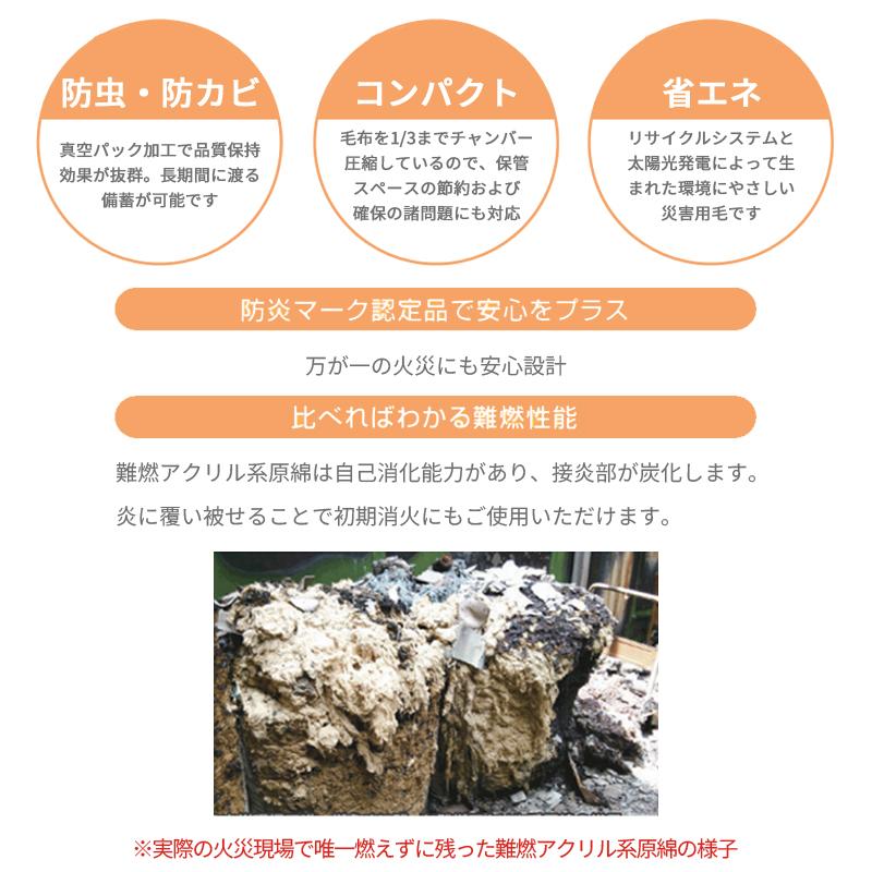 防災用品 非常用 圧縮毛布 災害備蓄用 難燃 真空パック包装 10枚 防災用品 非常用 圧縮毛布 災害備蓄用 難燃 真空パック包装 10枚