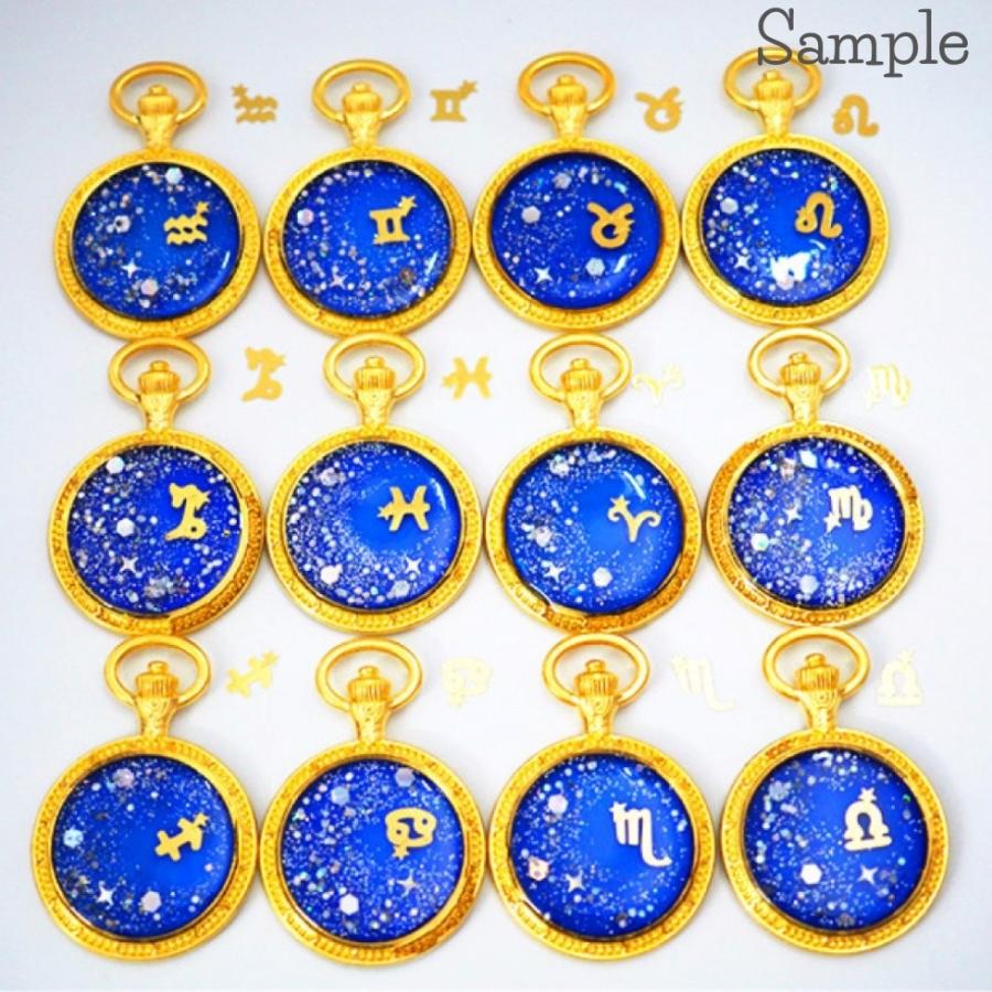 メタルチャーム 星座 封入用 星座マーク ホロスコープ ゴールド 10個