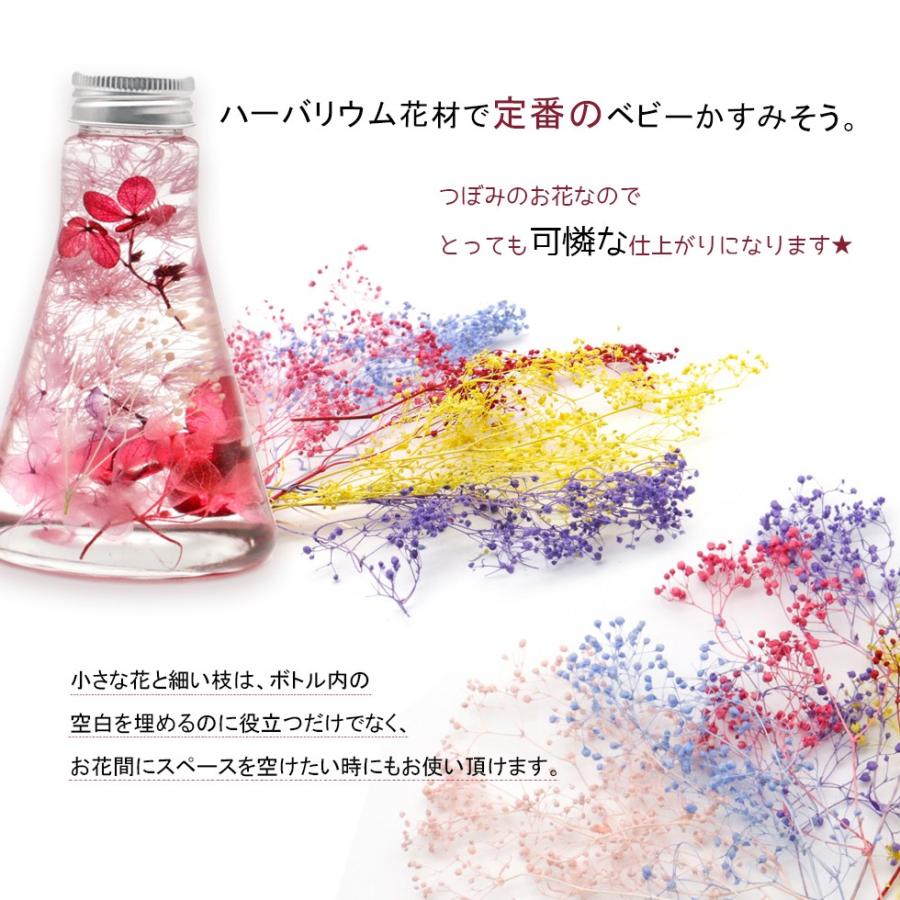 ドライフラワー プリザーブド ベビーかすみそう ミニ ベビーズブレス メール便対応 手作りキット ハーバリウム ハーバリウム専用ボールペン D Flower 13 東京タカラネイル 通販 Yahoo ショッピング