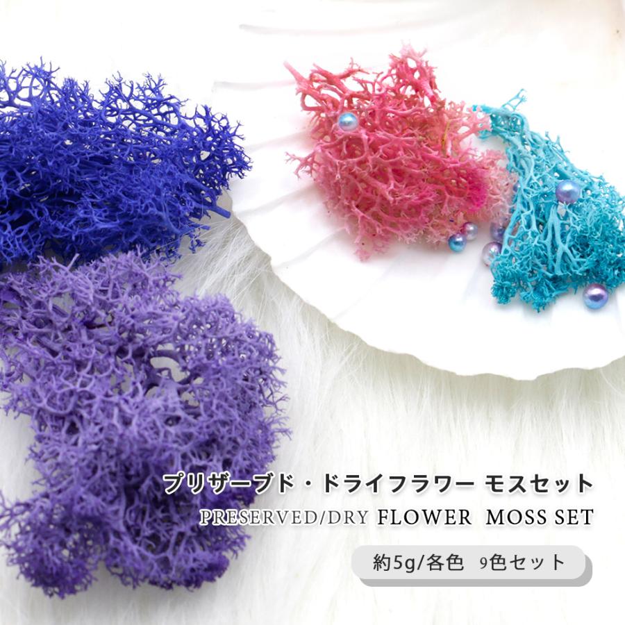 ドライフラワー プリザーブド モスセット 9色セット ハーバリウム コケ 苔 メール便対応 手作りキット ハーバリウム専用ボールペン レジン封入材 D Flower 14 東京タカラネイル 通販 Yahoo ショッピング