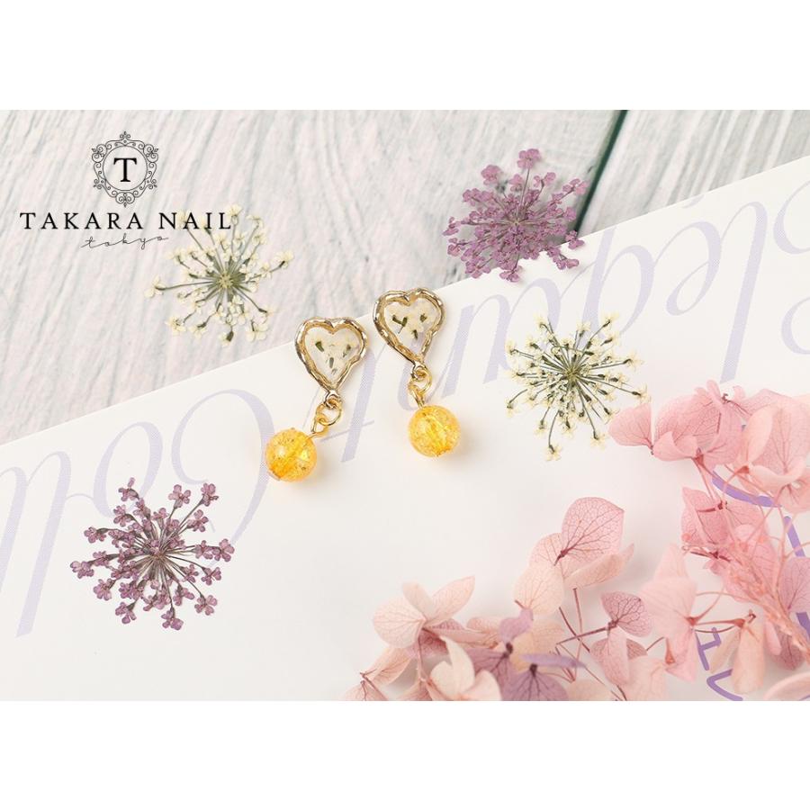 押し花 選べる６色 かすみ草 カスミソウ 霞草 メール便対応 ドライフラワー Uvレジン手芸 レジンクラフト 手作り レジン アクセサリー D Flower 23 東京タカラネイル 通販 Yahoo ショッピング