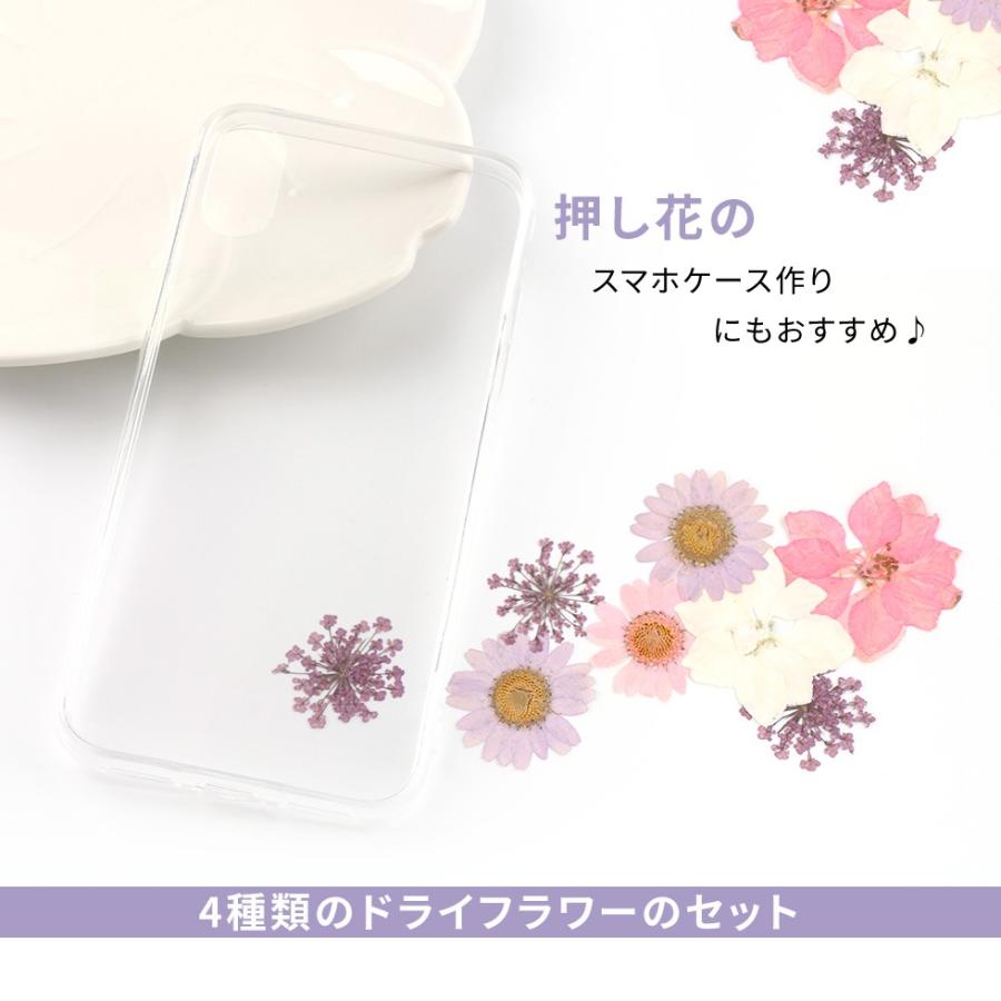 押し花 ドライフラワー アソートセット 選べる3種 メール便対応 レジンクラフト レジン コラージュ キット 手作り ハンドメイド アソート D Flower 25 東京タカラネイル 通販 Yahoo ショッピング