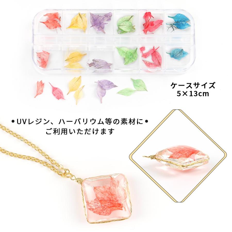 押し花 素材 レジンアクセサリー 押し花額 固まるハーバリウム ウエルカムボード 紫陽花 キャンドル ２０輪 ピンク スマホケース