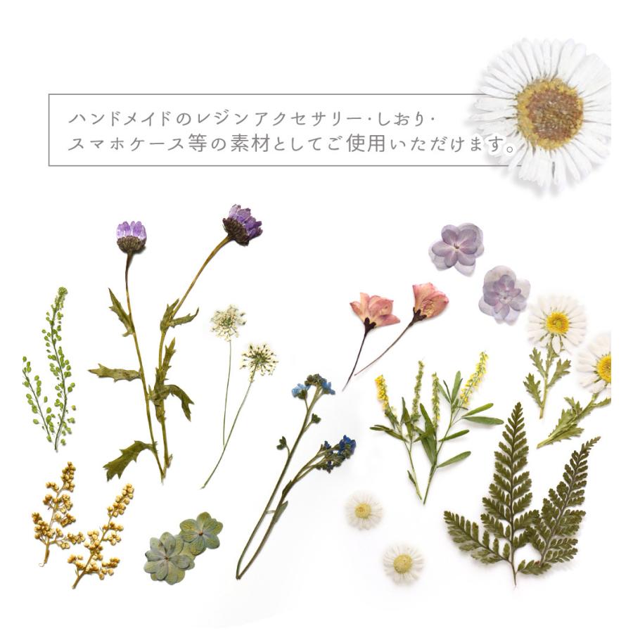 押し花 ドライフラワー 野草 レジン封入 ナチュラル ボタニカル レジン