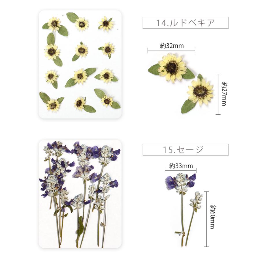 ☆*:.。. 押し花 ドライフラワー ポニーフック.。.:*☆ No.404 ☆*:.。. 押し花 ドライフラワー ポニーフック.。.:*☆ No.404