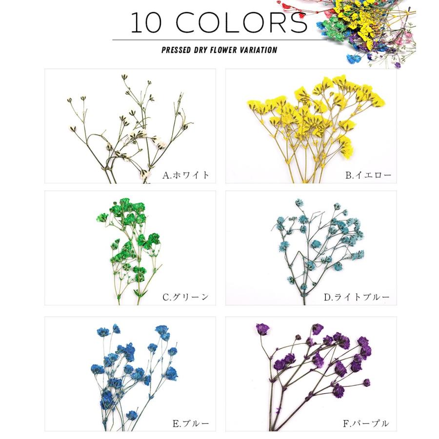 押し花 ドライフラワー 着色かすみ草10本入り メール便対応 ネイルアート Uvレジン Dcoprt08 東京タカラネイル 通販 Yahoo ショッピング