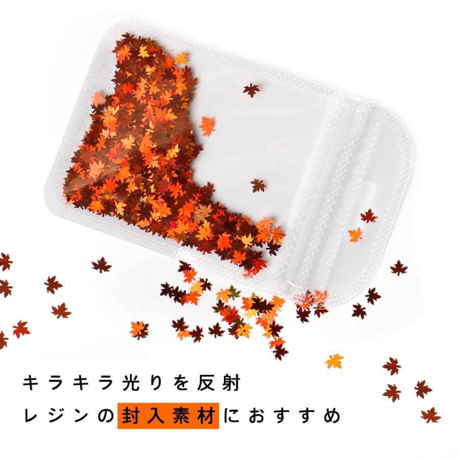 カエデ ホログラム 2g 楓 メープル 紅葉 もみじ リーフ 葉っぱ 虹色