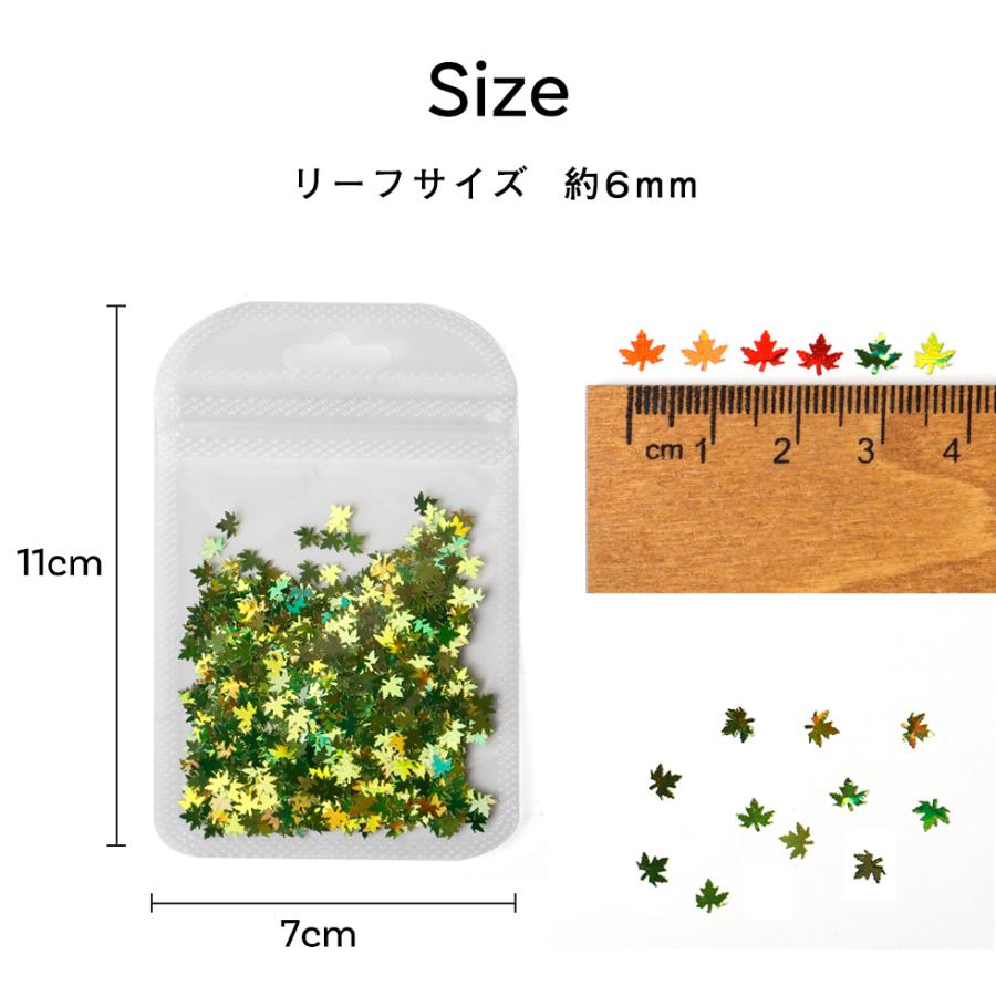 カエデ ホログラム 2g 楓 メープル 紅葉 もみじ リーフ 葉っぱ 虹色