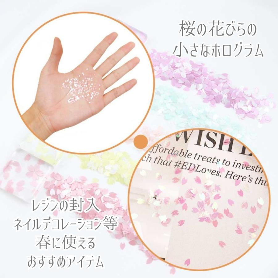 ホログラム さくら 桜 花びら 花弁 フラワー 春 12種 【メール便対応 